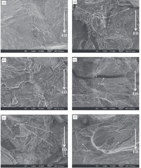 Fig. 3Fracture surface after tensile test with a constant strain rate 1 © 10¹3 s¹1 (a) N = 4 after SHT broken at RT, (b) N = 4 after SHTbroken at 100°C, (c) N = 4 after SHT broken at 200°C, (d) as-cast broken at 200°C, (e) as-SHT broken at 200°C and (f ) ECAE fourpasses none SHT broken at 200°C.13)