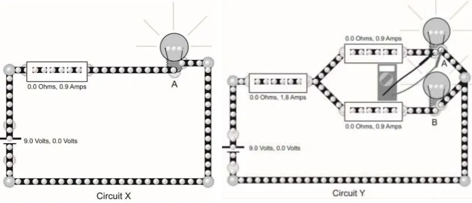 Figure 1: Screen shot of one of the simulations used 
