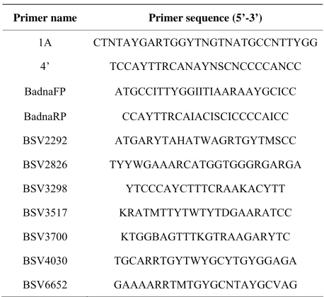 Table 1. RCA degenerate primers. 