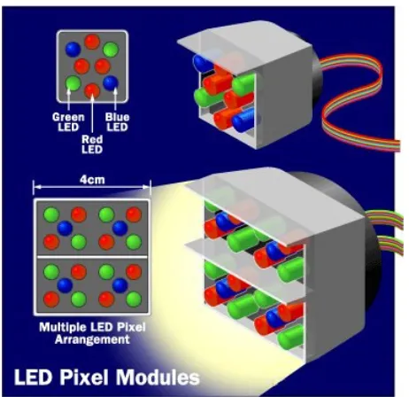 Figure 2.4 Jumbo Screen LED Modules 