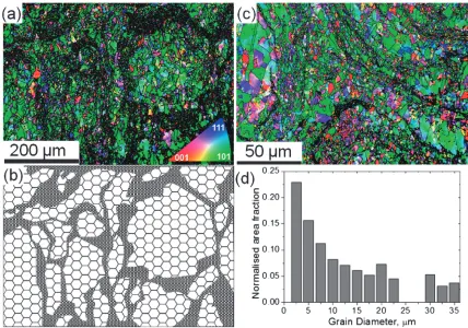 Fig. 3Microstructure characteristics of 99.96% purity copper with “harmonic structure”: EBSD inverse pole ﬁgure maps (a) and (c) showoverview of the structure and details of powder particles’ triple junction, respectively (black lines denote grain boundaries withmisorientation ª ² 15°); (b) is the schematic of material structure in (a), and (d) is the histogram of grain size distribution.