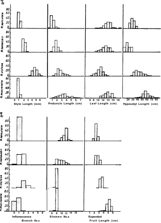 Fig. 5. Histograms of several of the components measured and counted in the study.