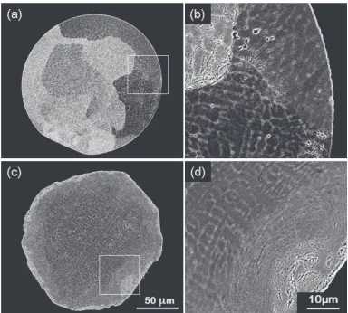 Fig. 1Cross-section aspects of the (a), (b) initial, fully-ferritic powder and (c), (d) powder milled for 90 ks