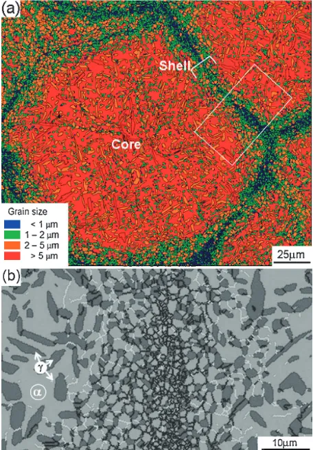 Fig. 3Optical micrographs of compacts sintered at 1123 K for 3.6 ks.(a) an initial powder (without milling) and (b) a milled powder (milledfor 90 ks).
