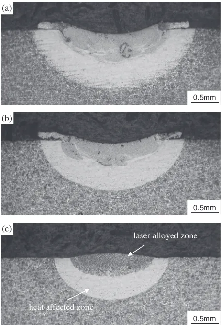 Figure 2 shows macrographs of the cross section of a