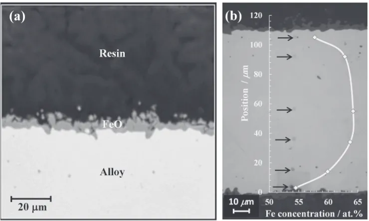 Fig. 6(a) BE image of the oxide scale and (b) concentration of Fe in the substrate after the oxidation of Pd­64Fe alloy at 1073K.