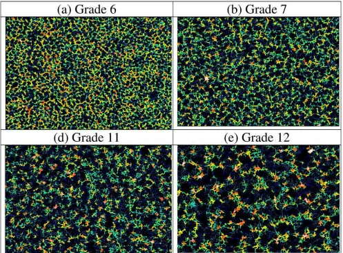 Figure 10. Vectorization of the furrows contained on EDM surfaces for four EDM grade. 