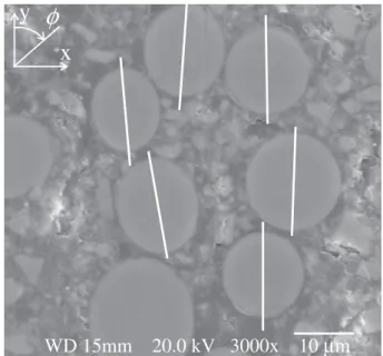 Fig. 5 SEM micrograph showing highly oriented ﬁber cross-sections near the mold wall. Mold ﬂow z-direction is normal to the plane of the page.