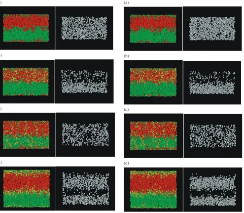 Fig. 2Side views of the all atoms (left) and the 4 coordinated atoms (right)in the amorphous state for the four types of specimens from the [010]direction
