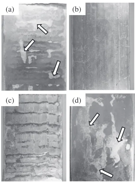 Fig. 3Appearance of the strip surface: (a) zone I, (b) zone II, (c) zone III-(C) and (d) zone III-(D) in Fig
