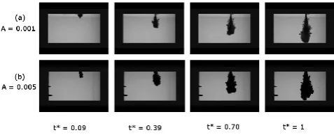 Fig. 3. Time evolution of one turbulent plume through its frametimesequences corresponding to two experiments with different At-wood numbers A made with the same height for the starting pointHo = 3 cm