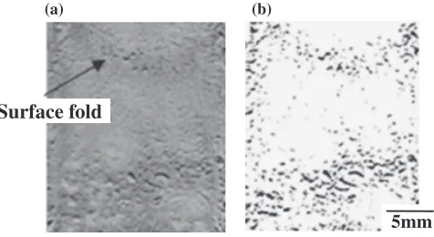 Fig. 2Appearances of castings with surface folds, (a) image of surface,(b) binary image of surface.