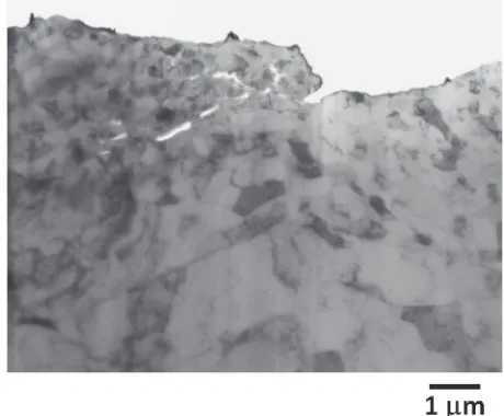 Fig. 8Bright ﬁeld image of the cross-sectional microstructure of a polishedAl surface.