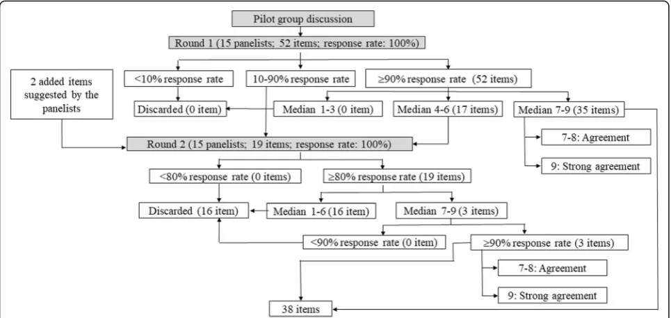 Fig. 1 Flow chart of the pilot group and modified Delphi process. This figure shows the evolution and decision making process of all theessential items for brain CT reading in suspected acute ischemic stroke patients concluded from the pilot group and each