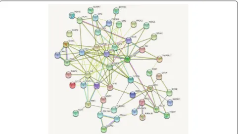 Table 5 Functional and pathway enrichment analyses of downregulated genes in chronic periodontitis