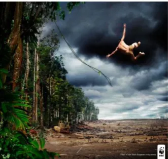 Figure 5. Given-new information on the absence of gaze on poster 2  (source: https://www.adsoftheworld.com/media/print/tarzan_0) 