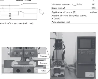 Fig. 2Schematic of the specimen (unit: mm).