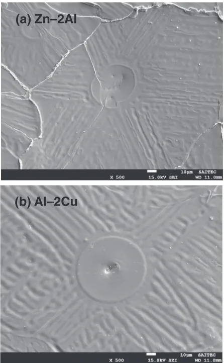 Fig. 2Bottom structures in the interior (a) and at the periphery (b) of theZn­2Al alloy specimen poured at 550°C on the chill block polished with#60 emery paper.