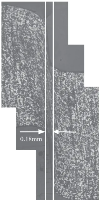 Fig. 7Macroscopic view of shear deformation zone.
