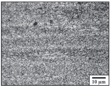 Fig. 7Typical microstructure developed in Al­5.8%Mg­0.3%Sc alloydeformed to ¾ = 12 by using uninterrupted ECAP at 573 K