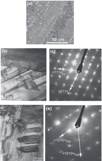 Fig. 1Microstructure of the as-cast Co­13.6 mass% Cu alloy. (a) SEM micrograph. The (Co) grains appear dark-grey (matrix)