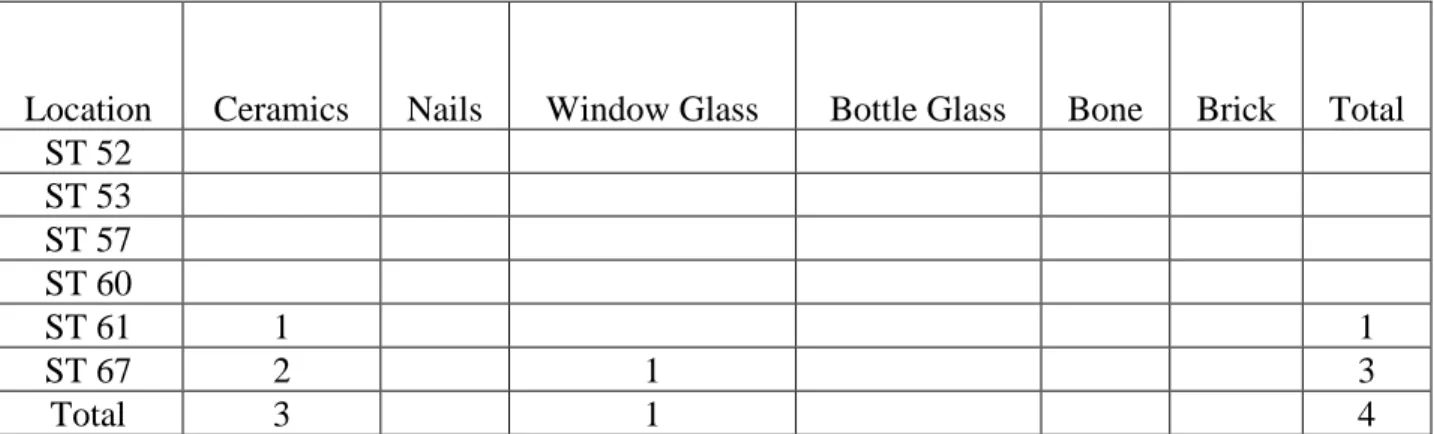 Table 6: Shovel Test Pit Artifact Types 