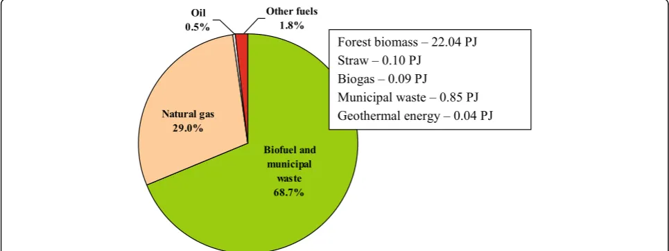 Fig. 1 Share of different fuel types in the district heating sector in Lithuania, 2017