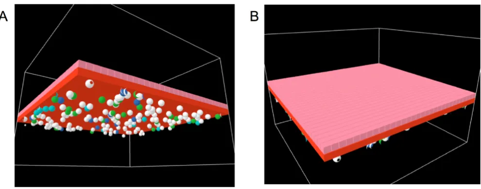 Figure 9Simulated Level of Occludin Expressionh, 24 h and 48 h. Compare with Figure 6 from Ref [24] and Figure 2 from Ref [25] (latter is extrapolated from Western Simulated Level of Occludin Expression