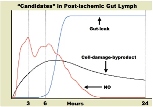 Figure 12LymphTimecourses for "Candidate" variables in Post-ischemic Gut Timecourses for "Candidate" variables in Post-ischemic Gut Lymph