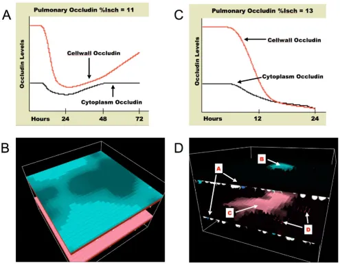 Figure 15Effect of Gut Ischemia on Pulmonary Barrier Dysfunction and Pulmonary Edemafailure