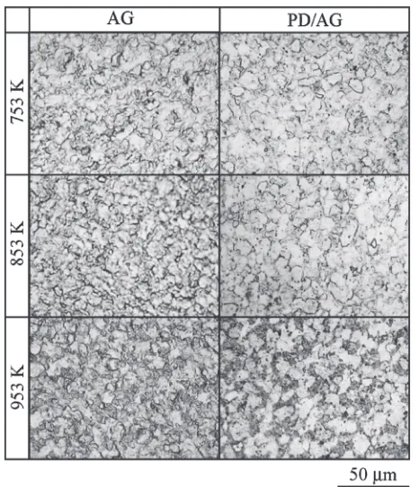 Fig. 9Microstructures of AG and PD/AG materials (strain: 16.7%, agingtime: 40 s).