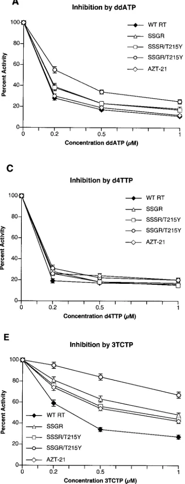 FIG. 2. Inhibition of polymerase activity by various nucleoside an-alogs. To simplify the comparisons, the activity of each of the enzymes