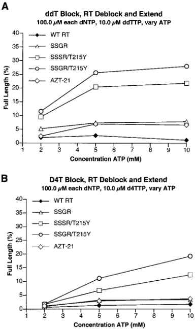 FIG. 4. Comparison of the abilities of the various RTs to exciseother thymidine analogs