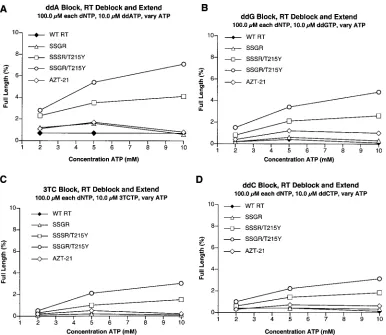 FIG. 5. Comparison of the abilities of the various RTs to excise other nucleoside analogs