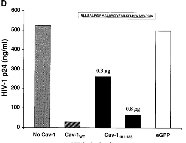 FIG. 6—Continued.
