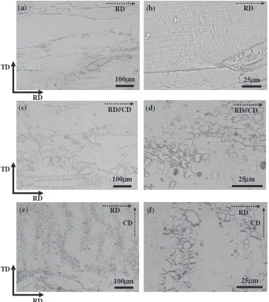 Fig. 1The microstructures of samples treated by (a), (b) cold rolling, (c), (d) CD // RD and (e), (f) CD ¦ RD of ECP