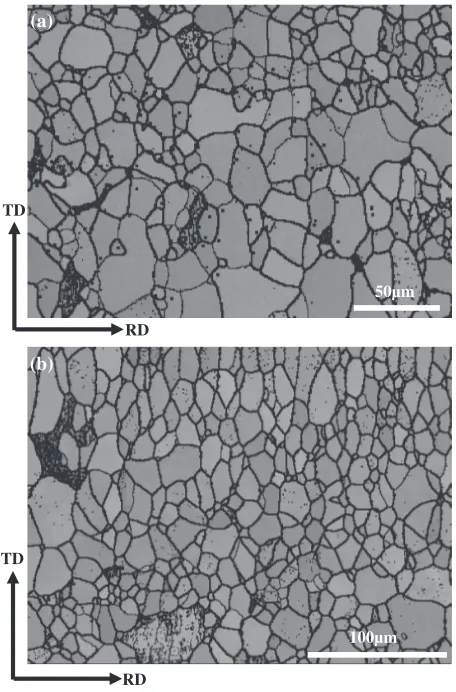 Fig. 4Grain images observed by EBSD (a) the CD // RD group, and(b) the CD ¦ RD group.