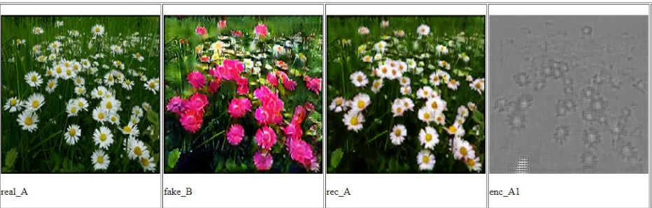 Figure 54- Daisy to Rose sample 2, low regularization. 