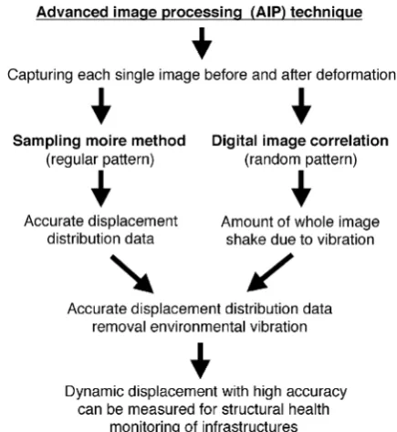 Fig. 1Concept and procedure of advanced image processing (AIP)technique.