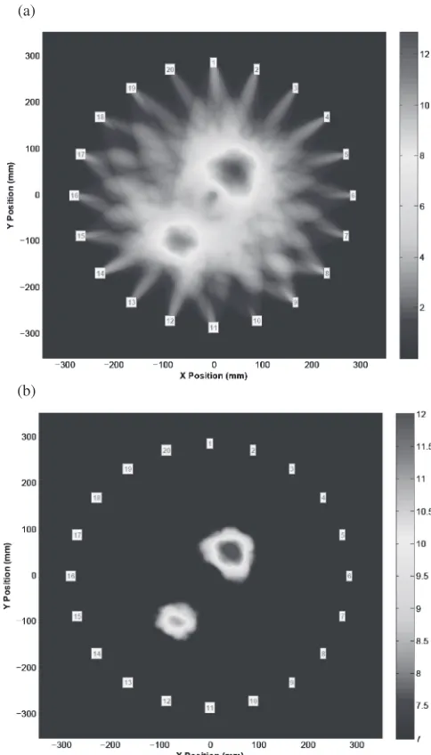 Fig. 12Image reconstruction of specimen 2: (a) without denoising and(b) with denoising.