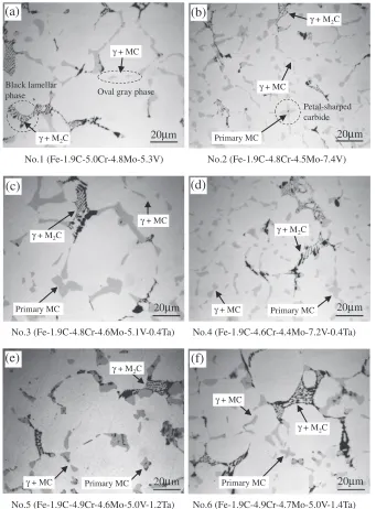 Fig. 3Optical microstructures of each as-cast specimen.