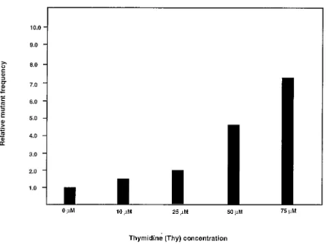 FIG. 2. HU increases HIV-1 mutant frequencies in a dose-depen-dent manner. HU was added at the concentrations indicated for 2 h