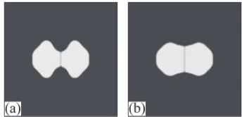 Fig. 4(a) Neck growth as a function of time. Early and late stage of growth exhibits power law scaling with different exponents; (b) Neckgrowth under different grain boundary to surface energy ratios