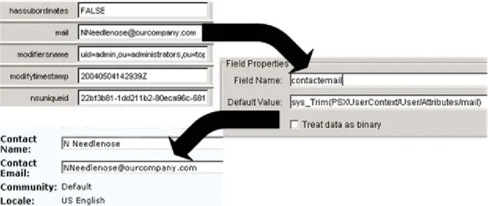 Figure 24: Using Directory Services Attributes in Rhythmyx Content Explorer 
