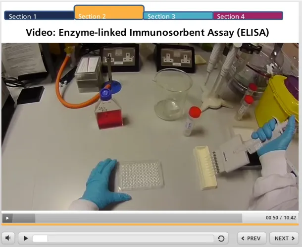 Figure 1. Screenshot from the ELISA video.  