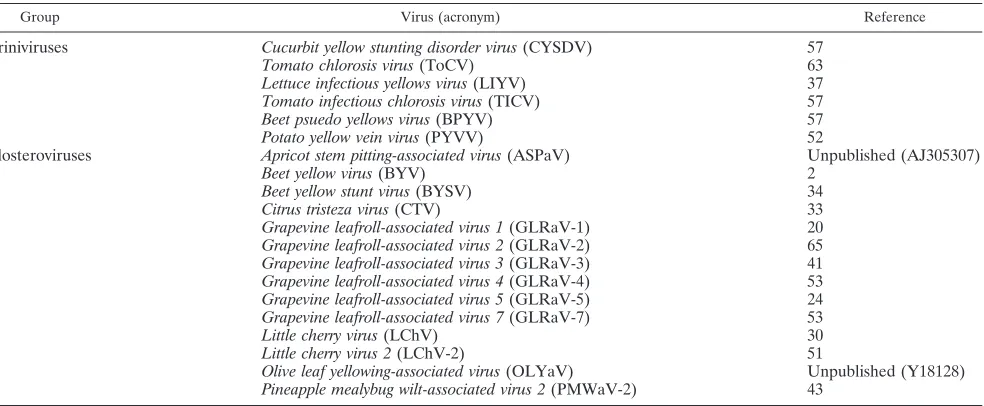 TABLE 1. Sequences of members of the family Closteroviridae used in this study