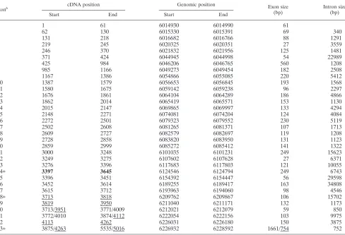 TABLE 2. Exon-Intron boundaries of the human Ahi-1 genea