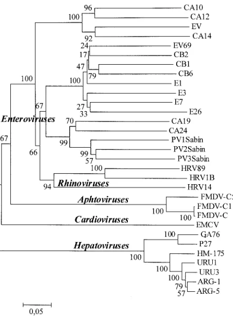 TABLE 2. Oligonucleotide primers used inRT-PCR and sequencing