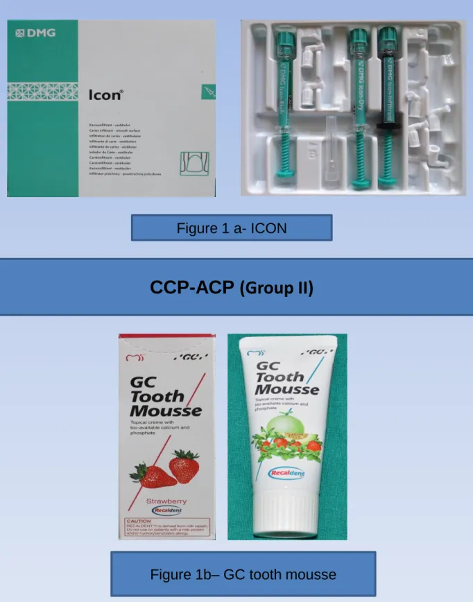 Figure 1 a- ICON   