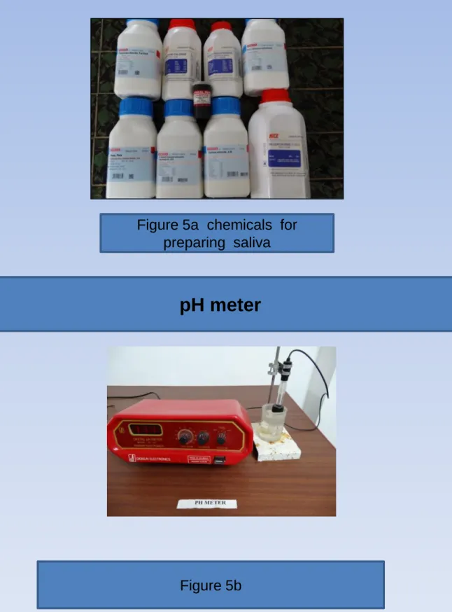 Figure 5a  chemicals  for  preparing  saliva   